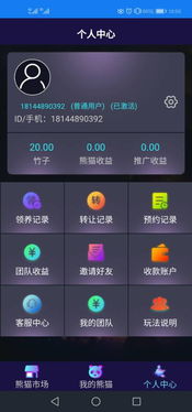 区块熊猫金坊系统软件开发方案