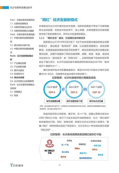 湘江潮涌 2020年长沙互联网发展白皮书中的软件与开发力量