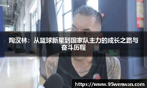 陶汉林：从篮球新星到国家队主力的成长之路与奋斗历程